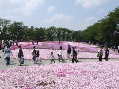 館林の野鳥の森フラワーガーデン・茂林寺