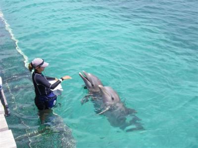 Mexico 初上陸!！　Isla Mujeres へ！！　＝２日目＝