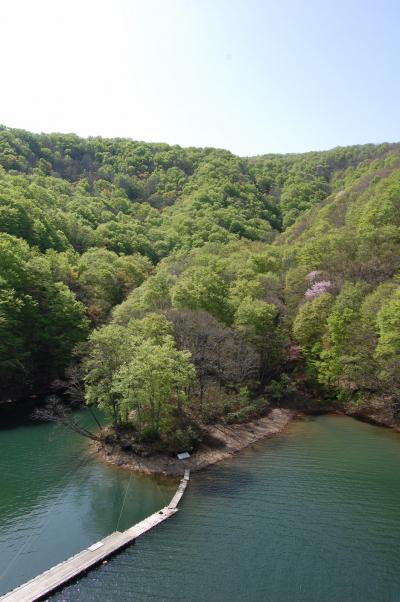 雄国山ハイキングと新緑の桧原湖