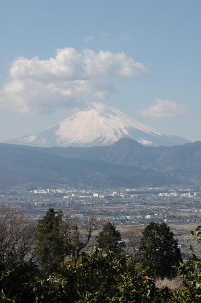 JR東日本 駅からハイキング「流鏑馬と曽我梅林を楽しむ国府津ウォーキング」