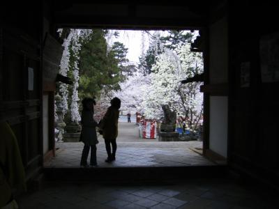 一日の終わりは奈良公園