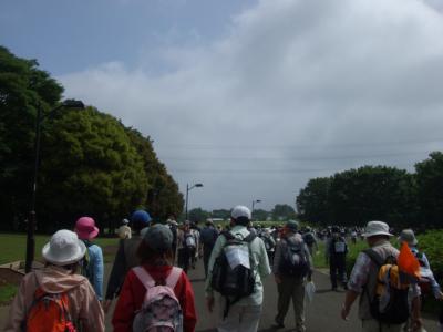 第13回　東京国際スリーデーマーチ