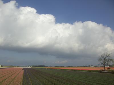 オランダの光とベルギーの星を求めて夫婦旅　オランダ編