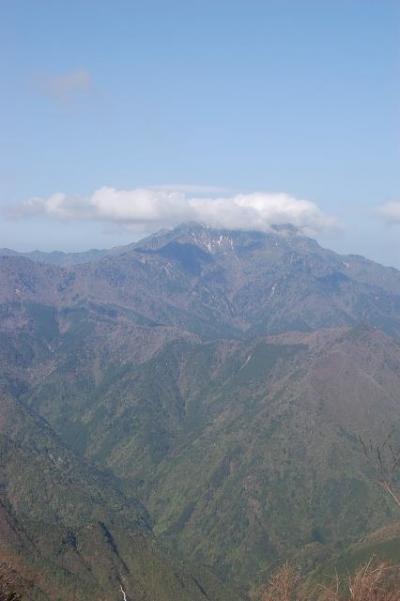 GW高知愛媛一人旅キャンプ 瓶が森林道編