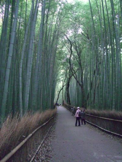 母とウエダさんと３人で