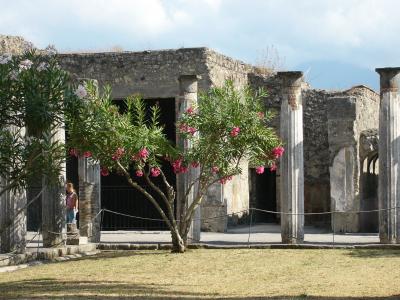 ヨーロッパ周遊2005[ITALY*Pompei]