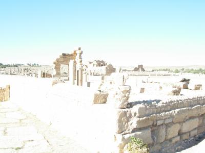 チュニジア周遊