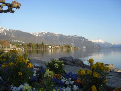 スイス満喫 in Vevey