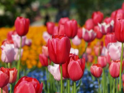 浜名湖ガーデンパーク&航空自衛隊浜松&龍潭寺