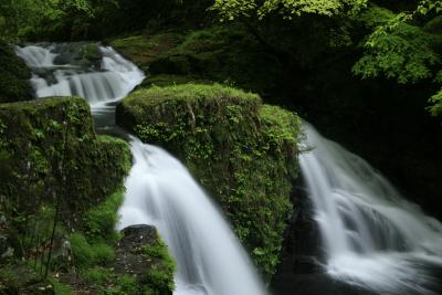 『日本の滝百選』、赤目四十八滝、新緑が雨に濡れる。/三重県名張市