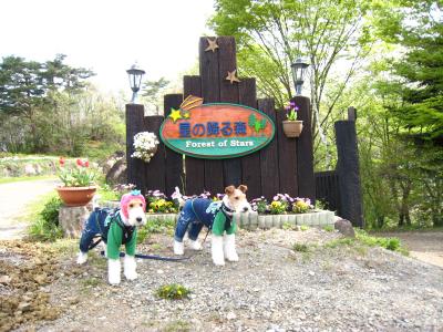 Anniversary Camp at 星の降る森オートキャンプ場