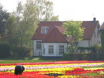 鉄道で行くオランダ・ドイツ・ベルギー/Netherlands,Germany & Belgium＜２００８春＞２～キューケンホフ/Keukenhof