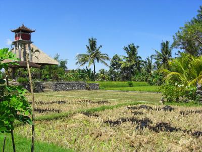 6年ぶりのバリバリ…。JALビジネスクラスで行ったお一人様旅行!3