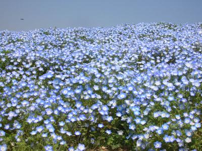 おばあちゃまの思い出（番外編）