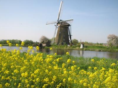 鉄道で行くオランダ･ドイツ･ベルギー/Netherlands,Germany & Belgium＜2008春＞4～キンデルダイク/Kinderdijk