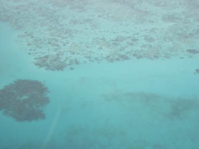 思う壺Barマダムの海外だってお部屋にこだわりた~い♪ ケアンズその1まずは成田のさくらラウンジ