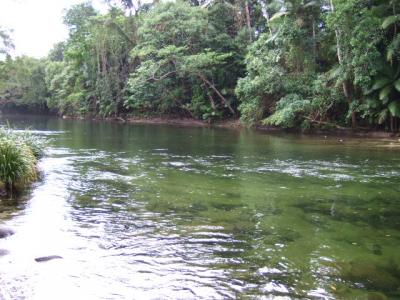 思う壺Barマダムの海外だってお部屋にこだわりた~い♪ ケアンズその2 「シルキーオークスロッジ」 リバーハウスでハンモック