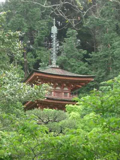 浄瑠璃寺で吉祥天にお会いしました