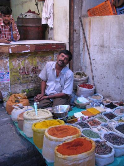 インド･ネパール一人旅　～デリー再び～