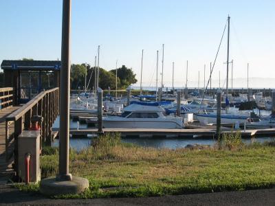 サンフランシスコ・ベイのボートフィッシング