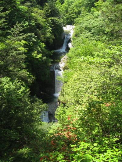 新緑の尾白川渓谷