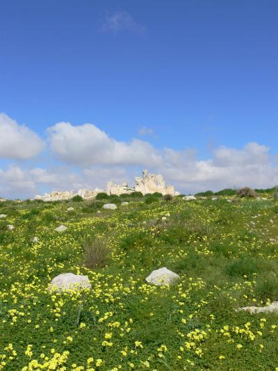 青い空を求めてマルタ共和国　?ハガール・イム神殿とイムナイドラ神殿