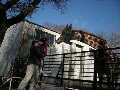 ローカルな動物園　宇都宮動物園