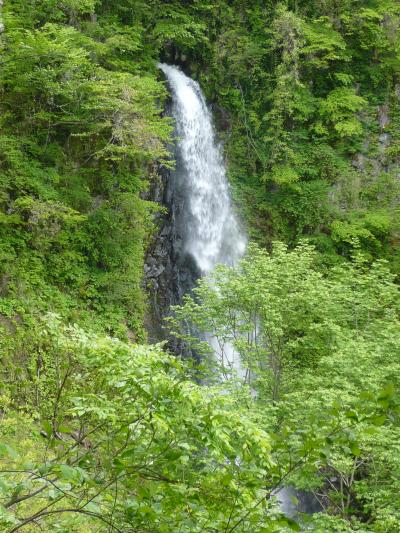 滝紀行◆日本の滝百選 ・雨滝（鳥取市国府町）