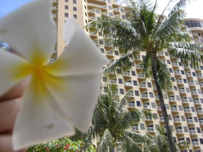 ☆卒業旅行☆ｸﾞｱﾑ５日間♪