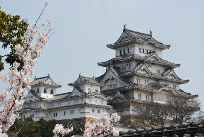 京都・神戸・姫路 2008年 桜旅? ：２日目 姫路城