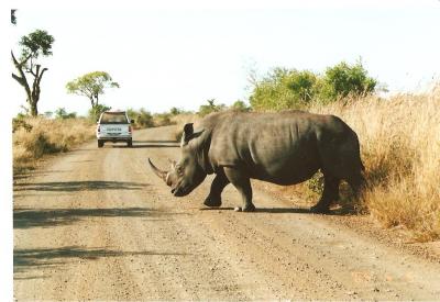 2005年春喜望峰＆クルーガー国立公園への旅（南アフリカ）