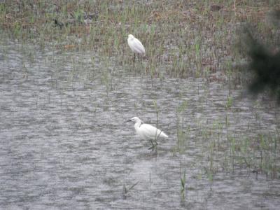 第２回フォトスクール　in　葛西臨海公園　OLYMPUS　SP-550編