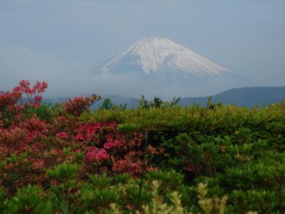 部屋付き露天風呂から富士山を眺める