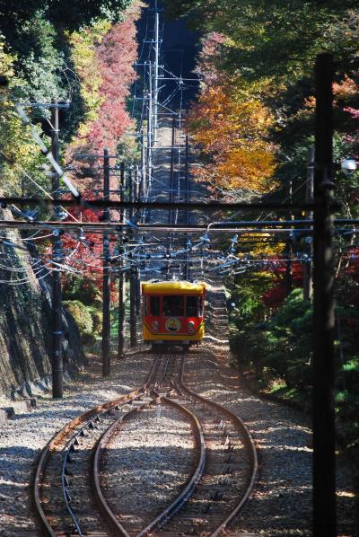 秋だ！　高尾だ！　ぷちトレッキングーーー