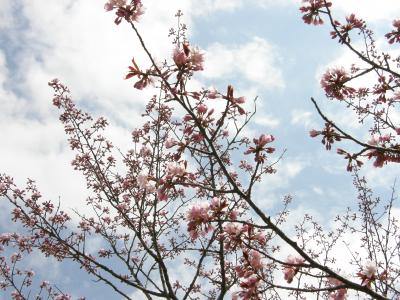 ちょい旅　厚岸　春５月、厚岸の歴史と桜を巡るちょい旅