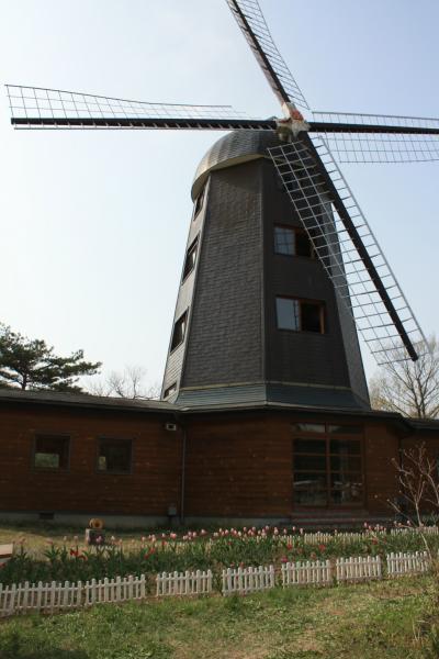 岩手県軽米　チューリップ園