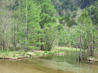 大正池・田代池・河童橋・梓川左岸から明神へ～初夏の上高地の旅～１日目後編