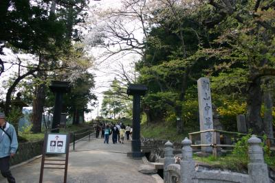 東北三大桜ツアー?　まずは平泉中尊寺から