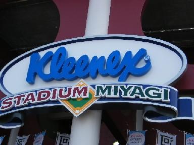 プロ野球観戦記１～東北楽天ゴールデンイーグルスVS埼玉西武ライオンズ（仙台・Kスタ宮城）