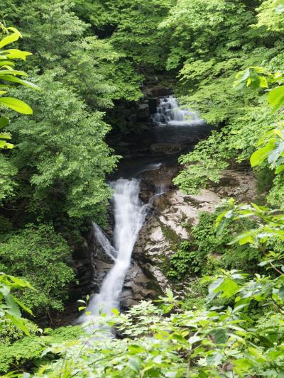 滝めぐりシリーズ６７　三滝　鳥取県智頭町