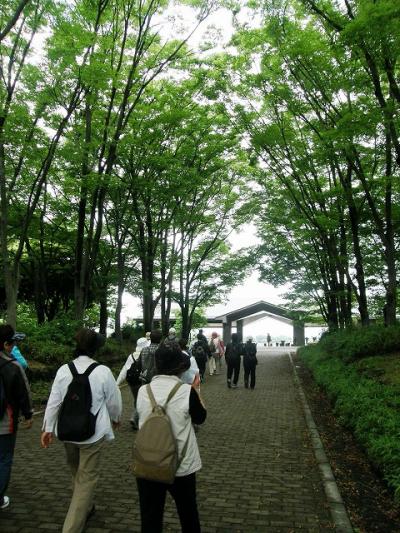 高大ＯＢ歩こう会で久喜菖蒲公園へ