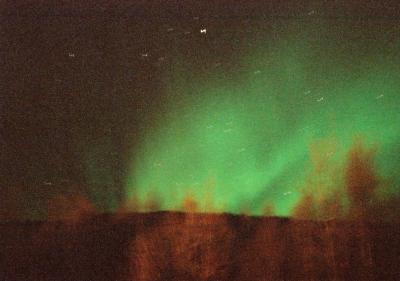 Tysfjord ORCA snorkeling 北極圏でシャチと泳ぐ！！！２