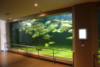 ? 白浜旅行　観光　「京都大学水族館」