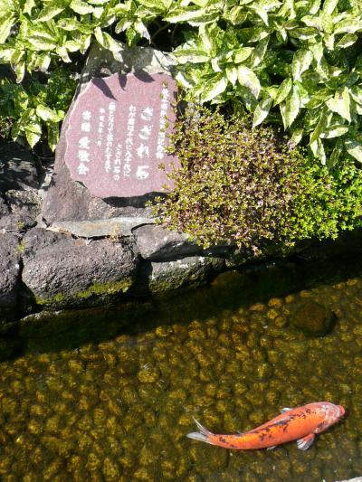 ～水の旅～ 水の都･大垣 【「幸福の泉」&さざれ石】