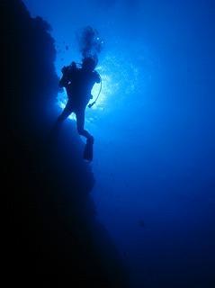 パラオダイビングツアー?