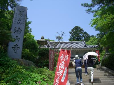 初夏の静岡　◆油山寺◆