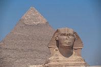 憧れのレッドシーダイビング！