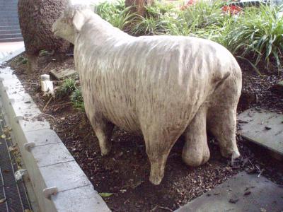 2008ビスケットまつり　ロトルア・オークランド４泊６日の旅　６日目