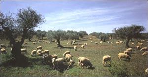 熟年夫婦の珍道中 Beja/Portugal