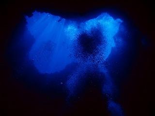 パラオダイビングツアー?